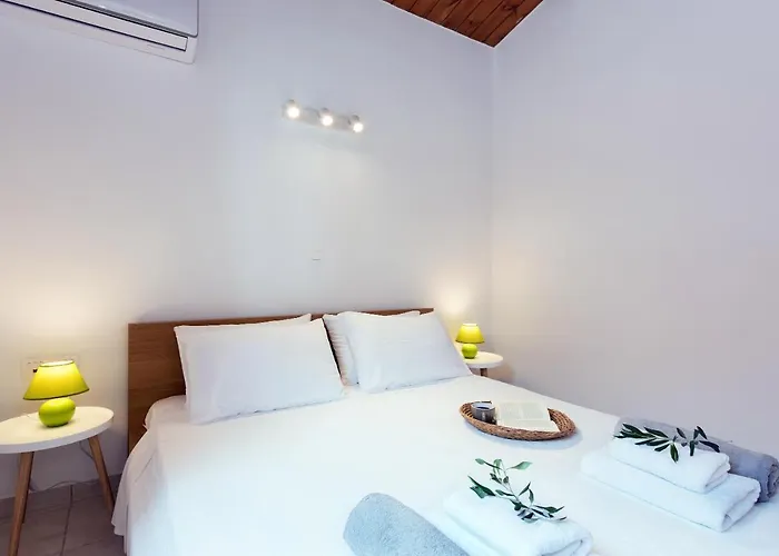 公寓 Corfu Anemoessa Apt 格利法达